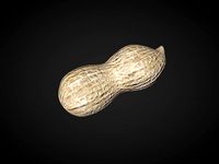peanut