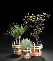 Strap Planters 2