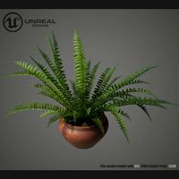 Home plant
