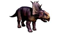 Pachyrhinosaurus
