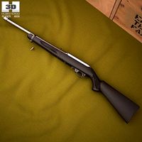 Ruger 10-22 Takedown
