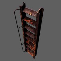Rust ladder