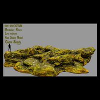 mossy rock 2
