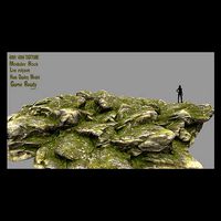 mossy rock 3