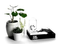 Planters Set Book and Dome with Shpere