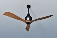 Ceiling fan