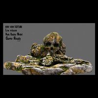 Skull Cave
