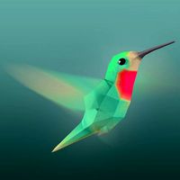 Rigged Low-Poly Hummingbird