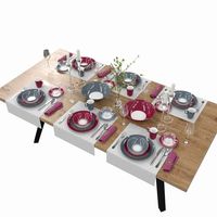 Table setting Luminarc Winter Fizz