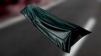 Body Bag