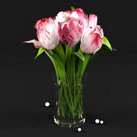 Peonies in vase