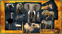 WILD AFRICA PACK