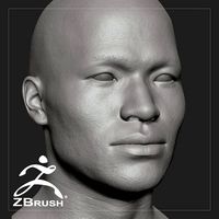 Average Asian Male Head Basemesh