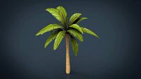 Palm Tree