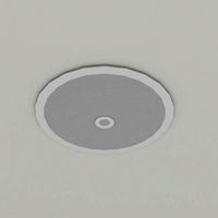 ceiling speaker