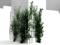 ivy corner