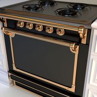 Gourmet Stove 2