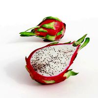 Mexican Vegetable Pitahaya