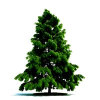 Modern Christmas Tree