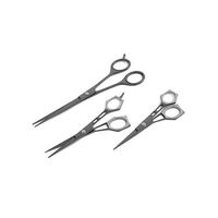 Modern Beauty Parlor Shears
