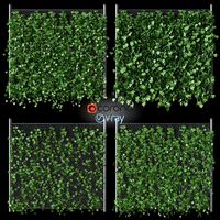 Hop leaves on the fence