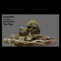 Skull Cave