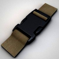Plastic Buckles