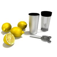 2 Piece Bar Drink Shaker Chiller Strainer