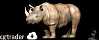 Rhino 3D Photorealistic Model with Uv and  2Texture
