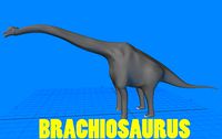 Brachiosaurus Dinosaur