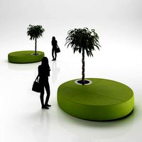 Large ottoman with exotic tree