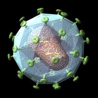HIV Virus