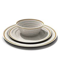 Gold Lined Diner Set