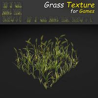 WheatGrass