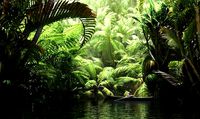 Archmodels vol 85 - Tropical Trees Collection