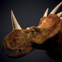 Styracosaurus - Dinosaur