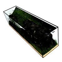 Large Rectangular Aquarium
