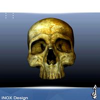 Old Skull