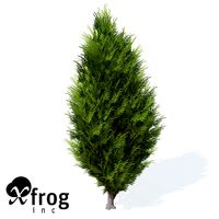 XfrogPlants Savin Juniper