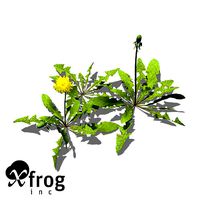 XfrogPlants Dandelion