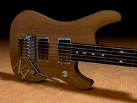 Washburn N2