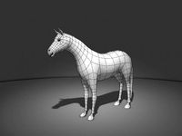 Horse Base Mesh