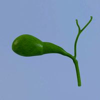 Gallbladder Max 2011