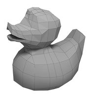 Rubber duck