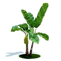 Green Leafed Plant