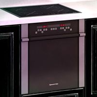 Zigmund Stain oven