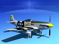 P-51D Mustang The Flying Undertaker