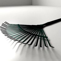 Leaf Rake