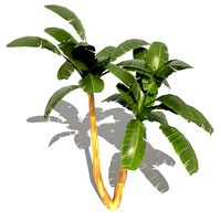 Banana Tree - 01 low poly