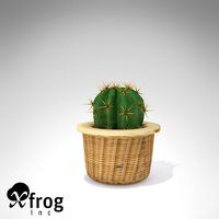 XfrogPlants Electrode Cactus